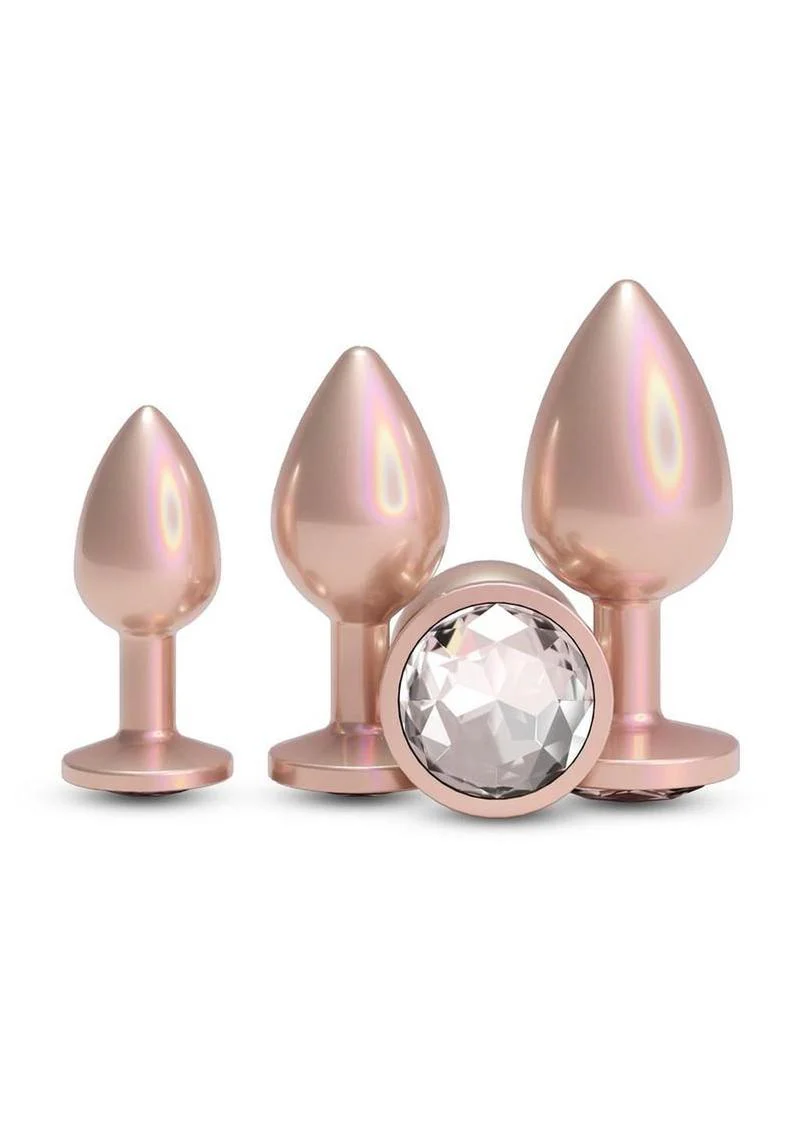 Rear Assets Chrome-Plated Tapered Anal Plugs Kit - Image 7