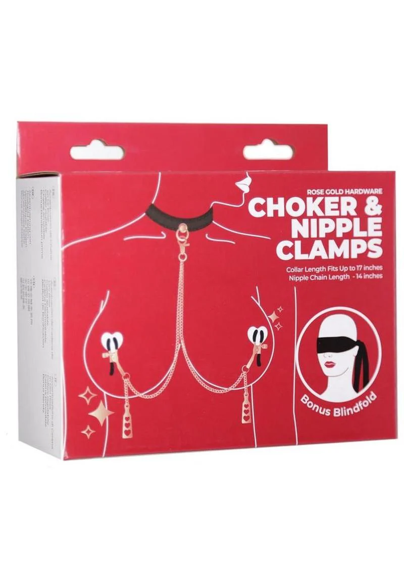 Rose Gold Hardware Choker and Nipple Clamps - Image 3